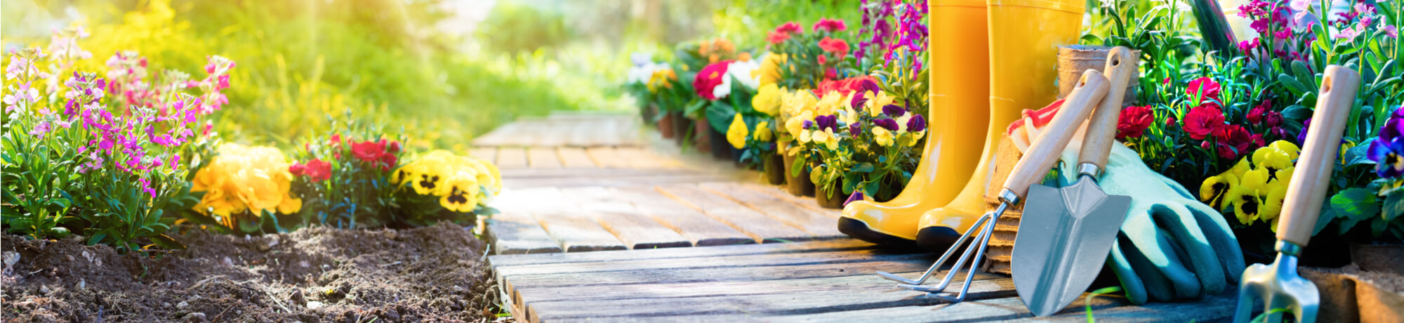 gardening-set-of-tools-flowerpots