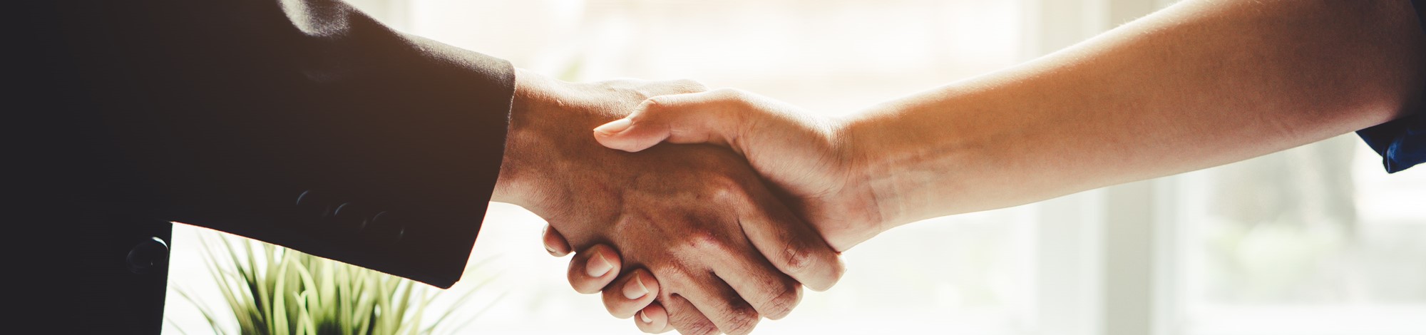 Two people shaking hands