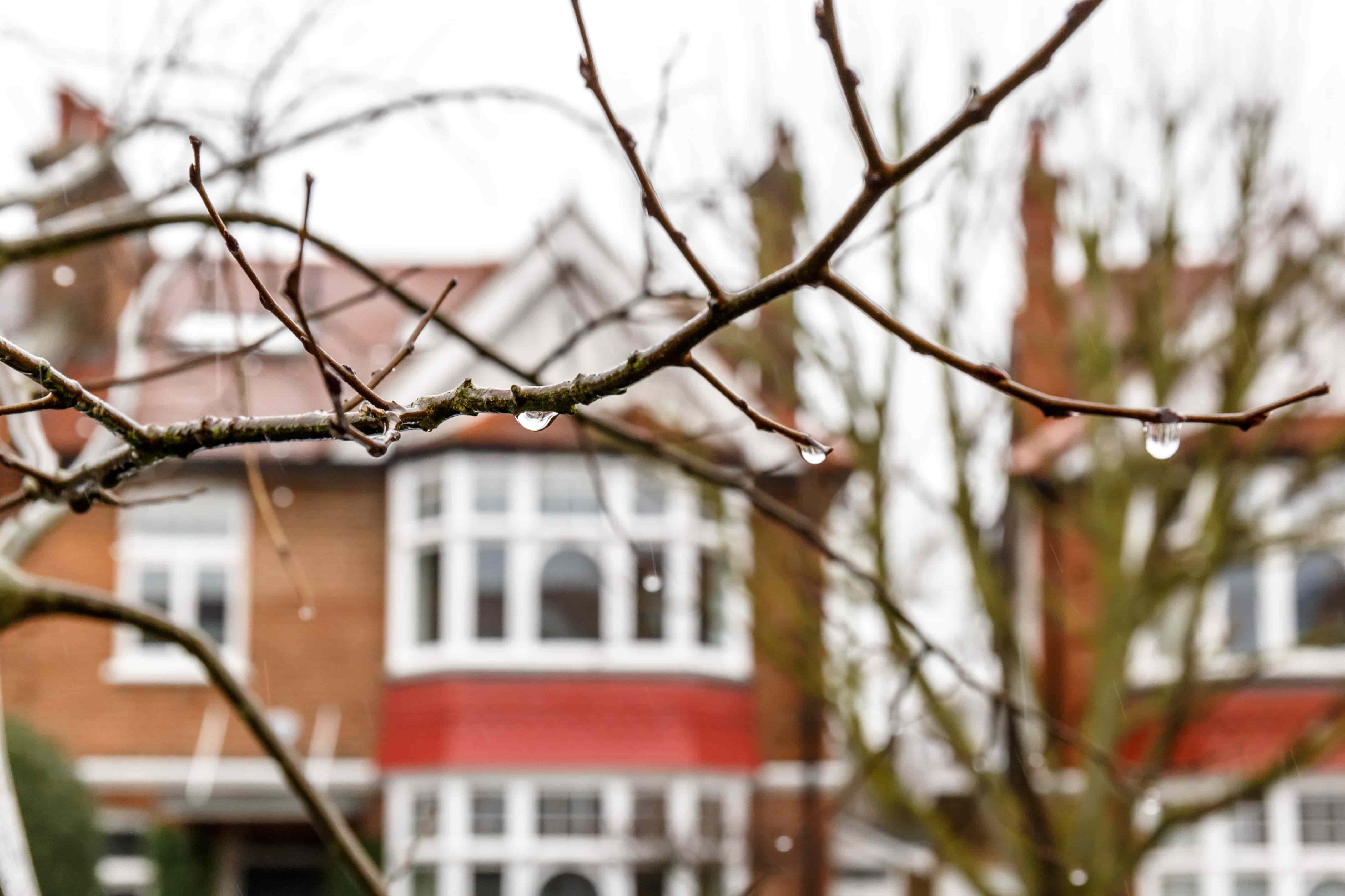 House in Chiswick UK