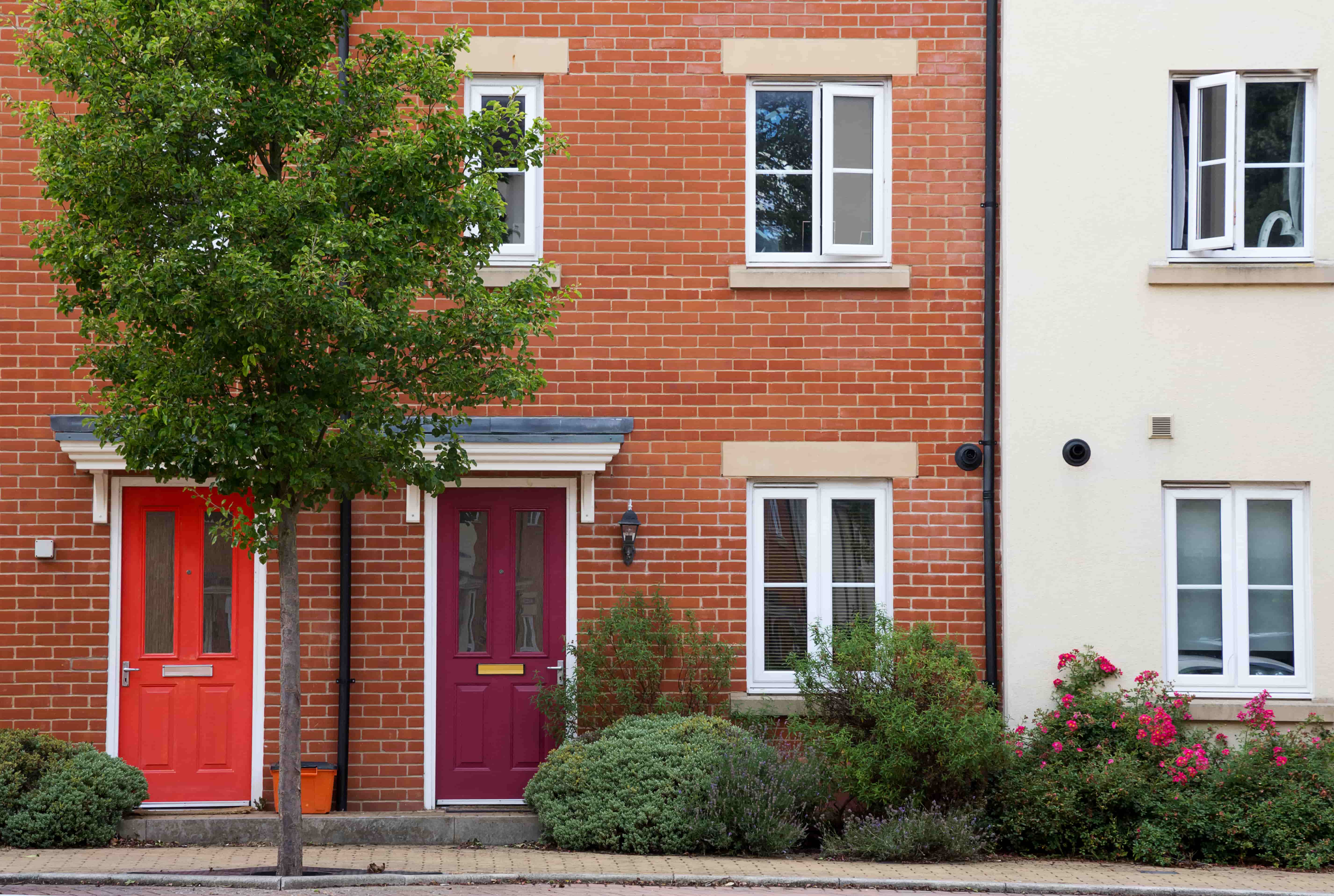 Two houses with coloured doors and tree