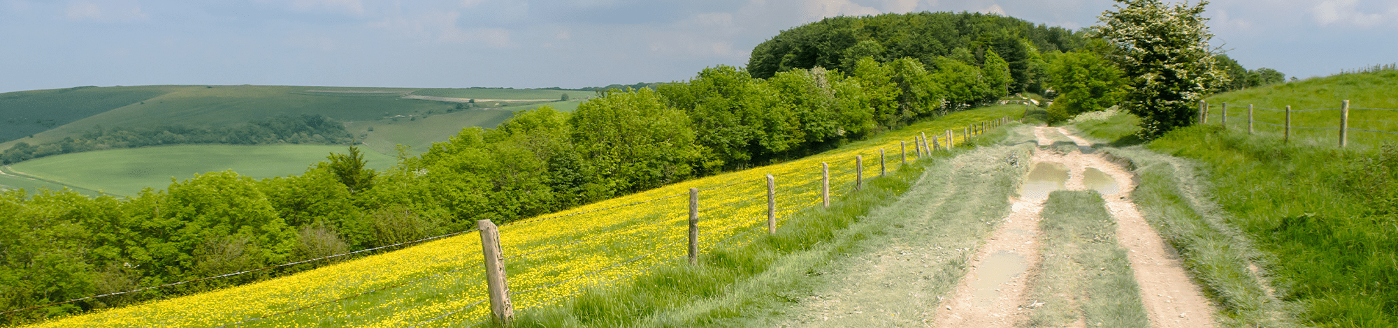 Wiltshire country road