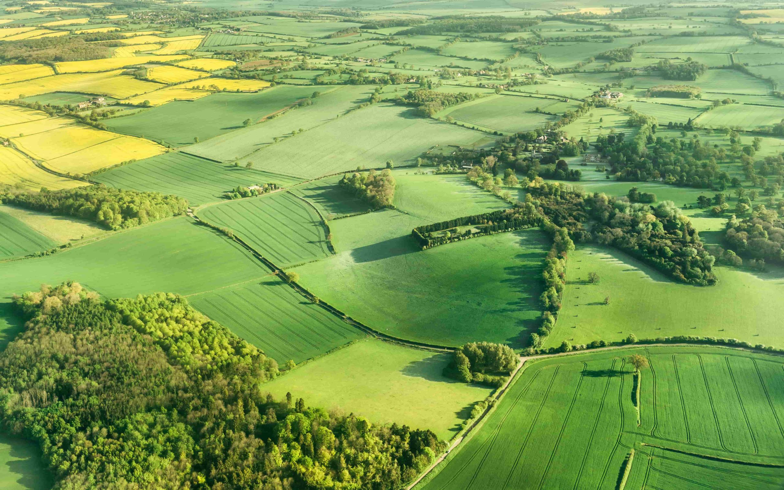 Aerial photography of green fields in English countryside