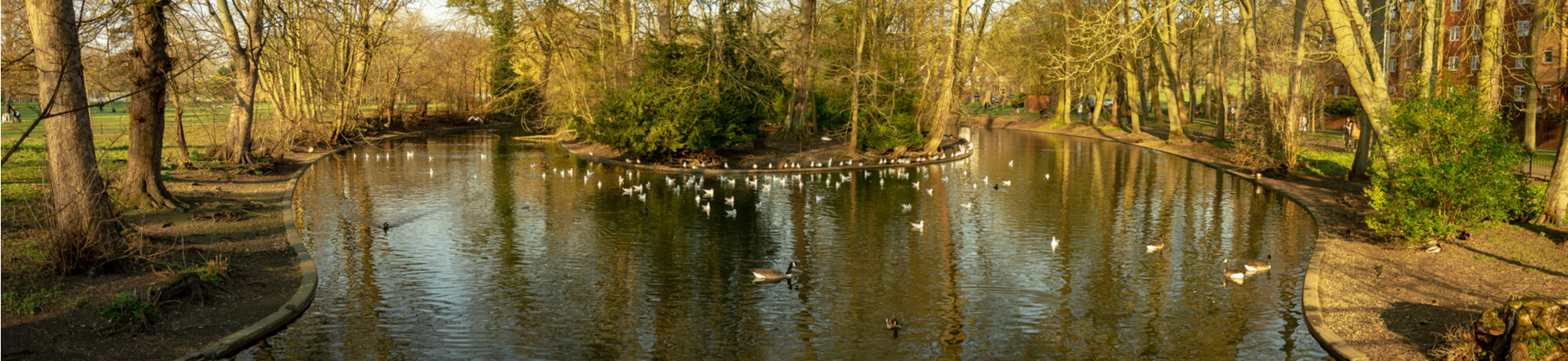 wardown-park-lake-luton