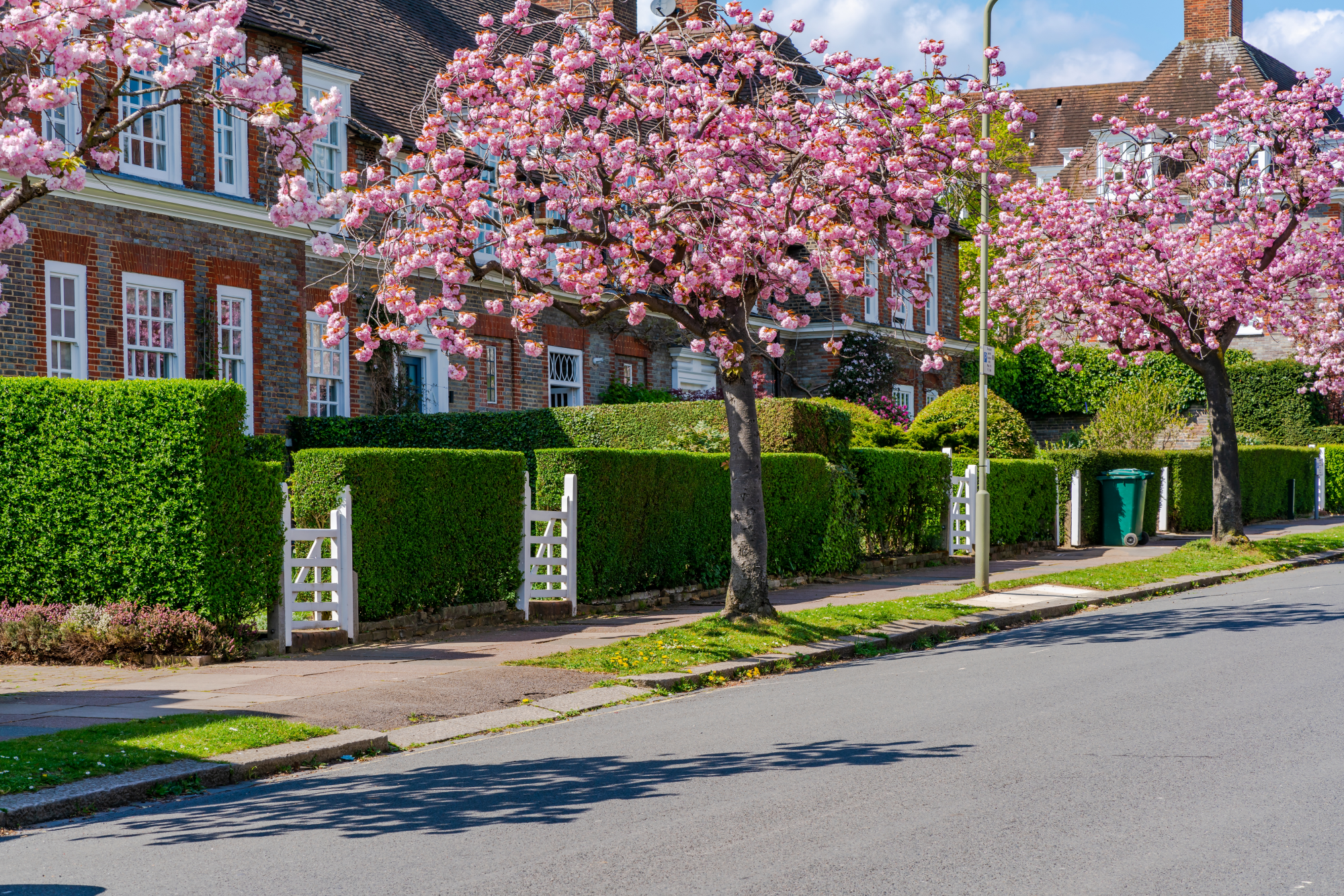 selling-your-home-in-spring-cherry-blossom-residential-street